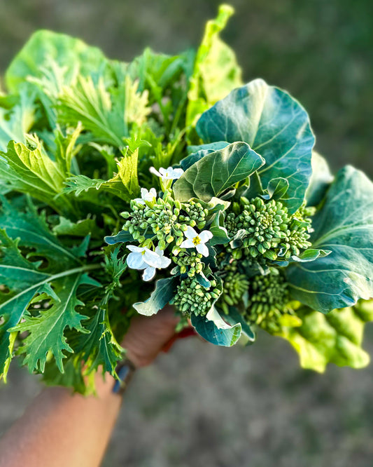 Bunch with a Punch—Kailaan & Seasonal Greens